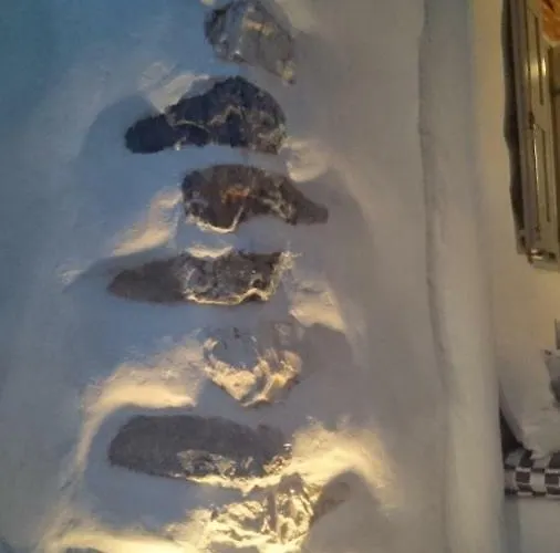 Petradi * Αμπελάς